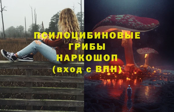 шишки Верея